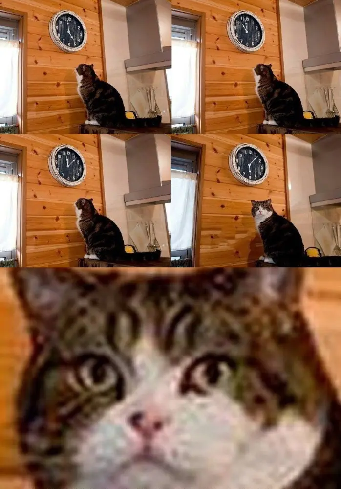 1743877505311.webp