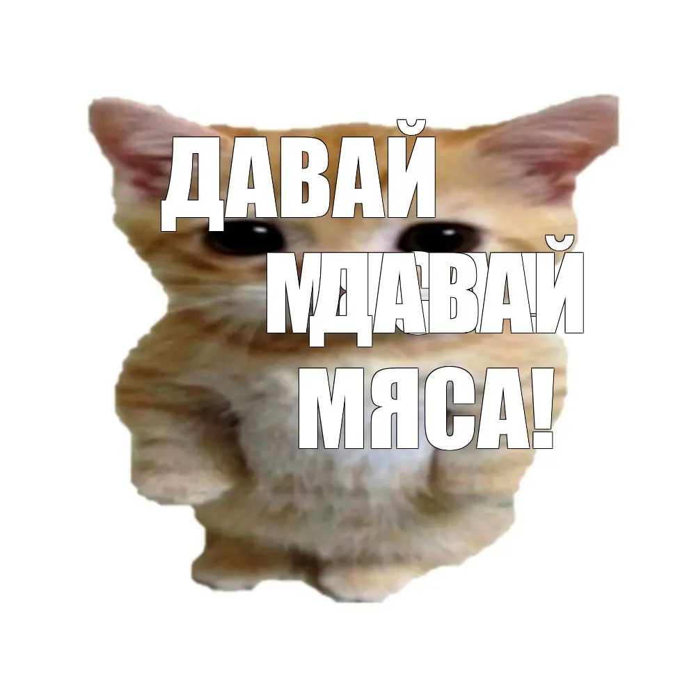 1745728655798.webp