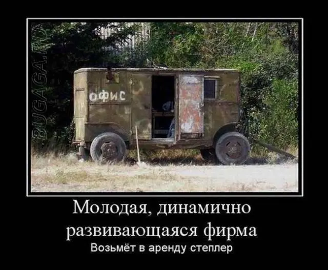 1747250675_2.webp