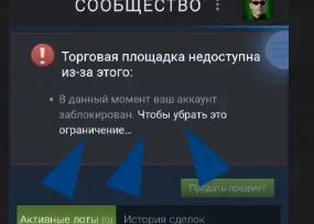 1747668231778.webp