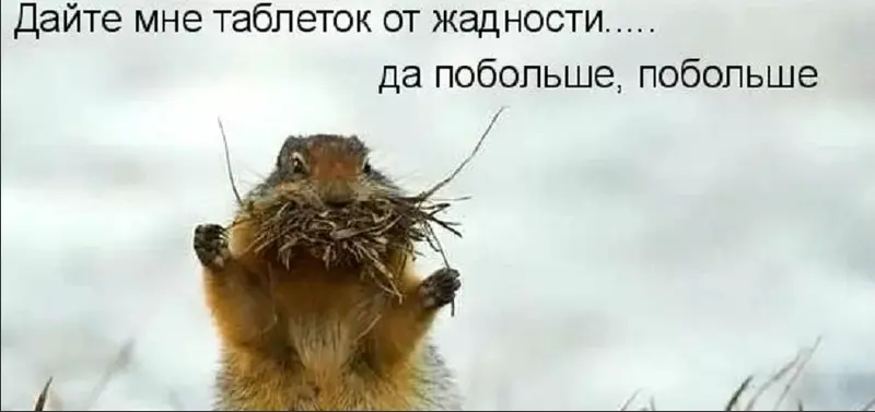 1748610207380.webp