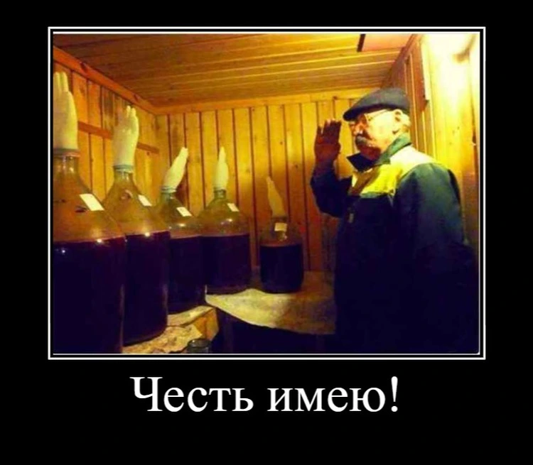 1748885_900.webp
