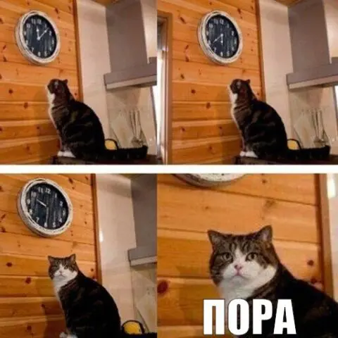 1749413735066.webp