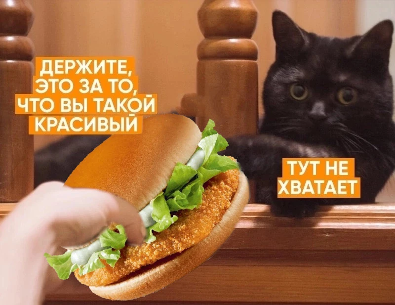 1749416940197.webp