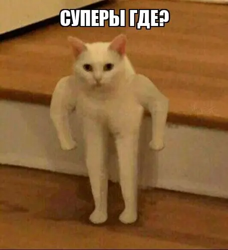1750453362414.webp