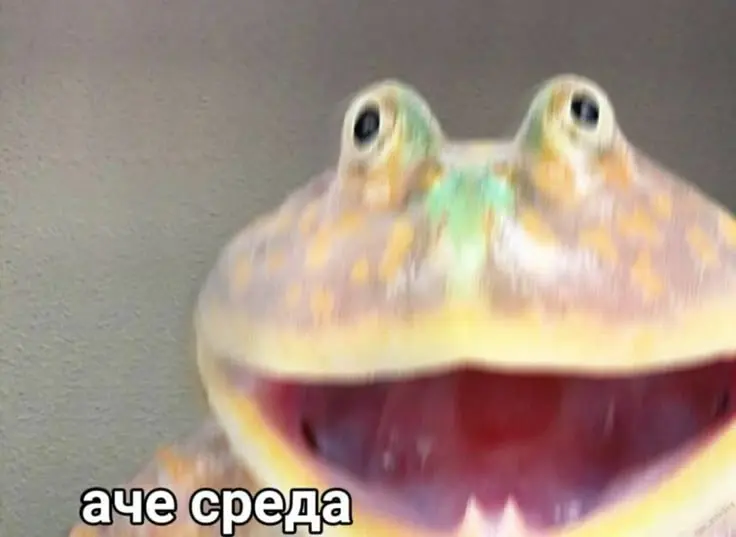 1751486503366.webp