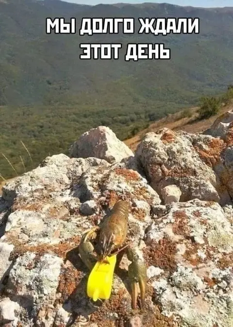1752425708879.webp
