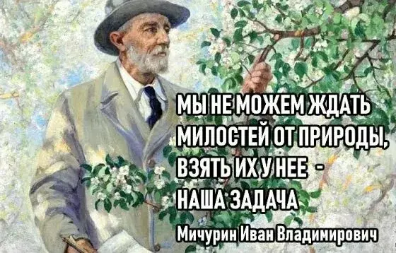 1753448234393.webp