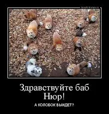 1755868232965.webp