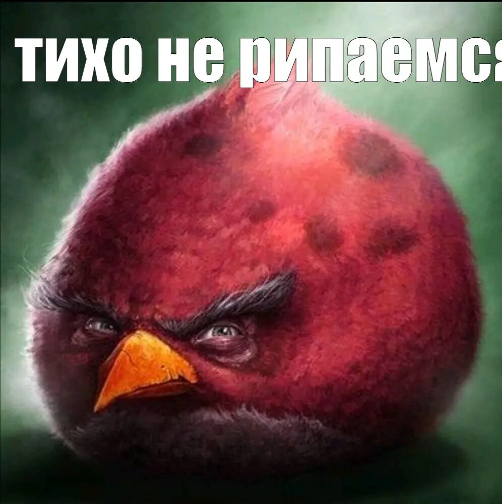 1756758392215.webp