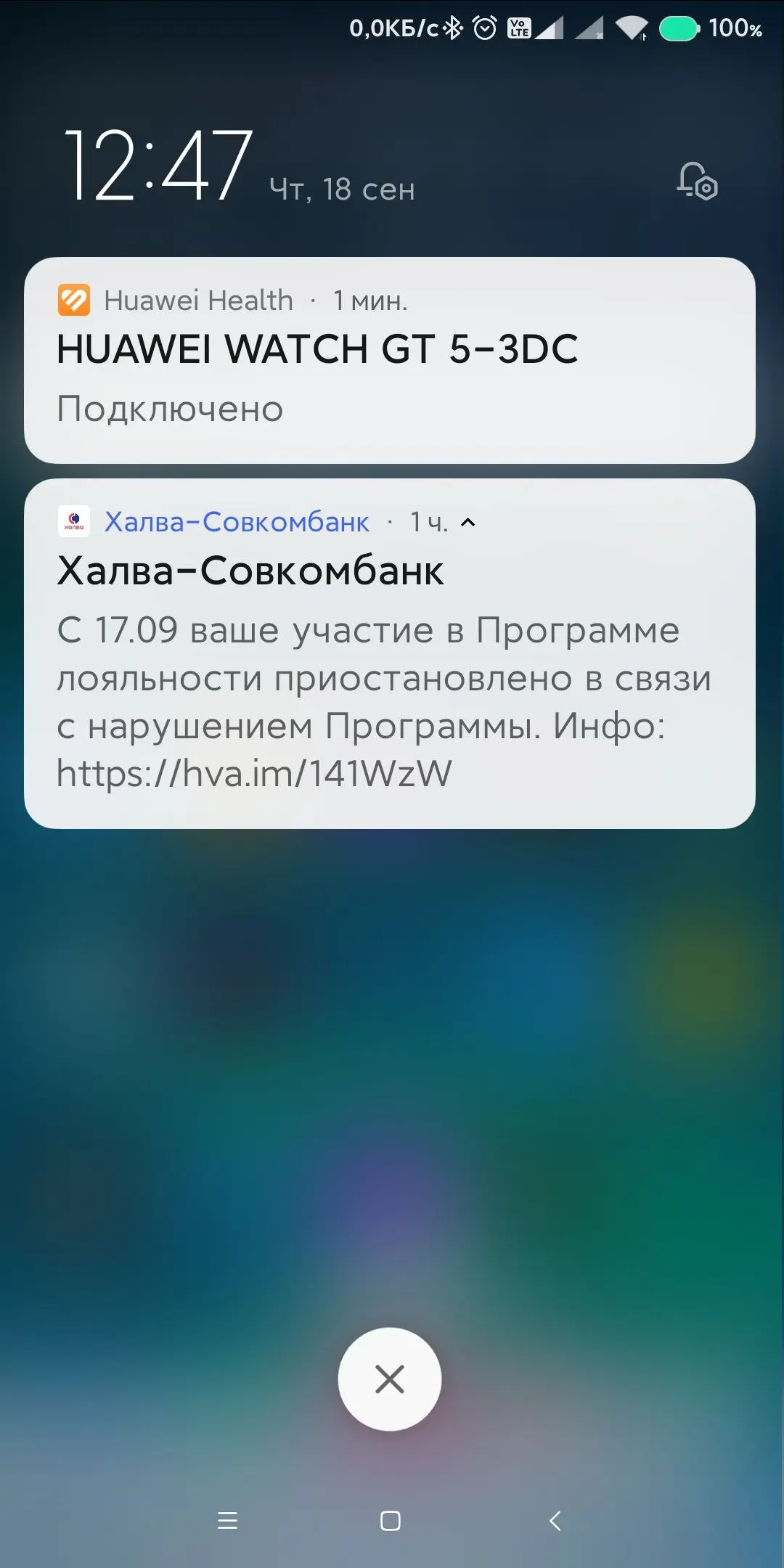 1758189341272.webp