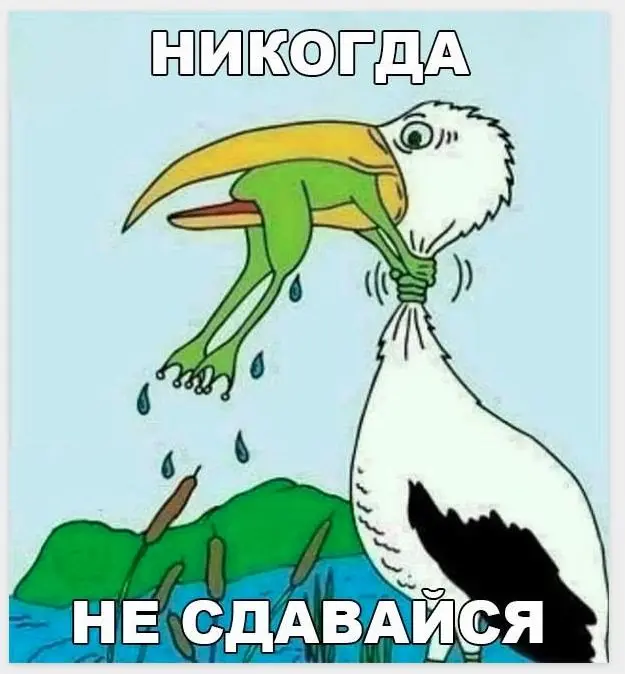 1758637108255.webp