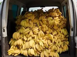 1758645980547.webp