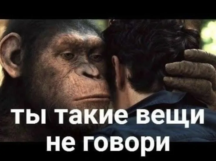 1759912373877.webp