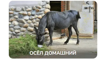 1760285915371.webp