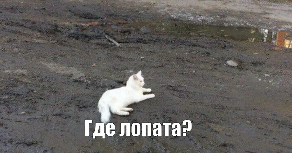 1762268433442.webp