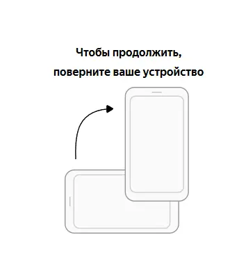 1762627456384.webp