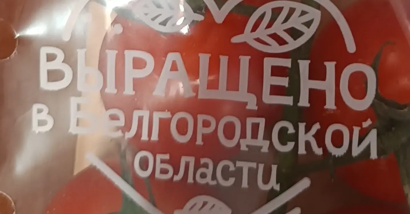 1762862419425.webp