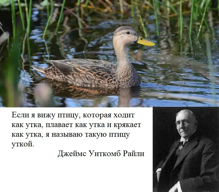 1763417078341.webp