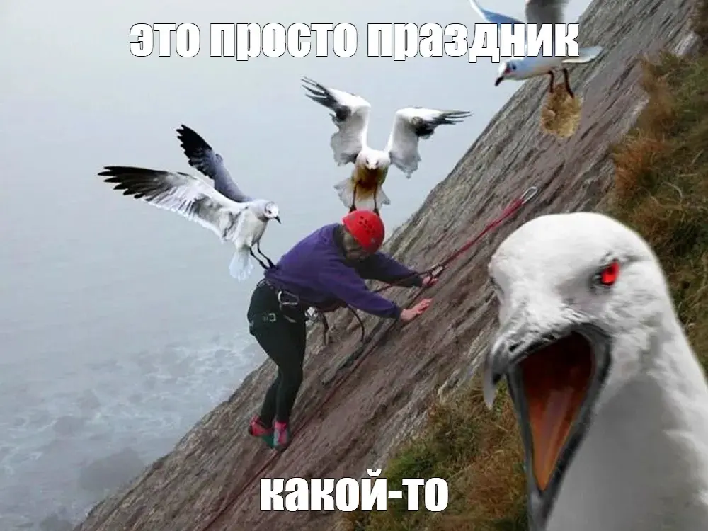 1763477717523.webp
