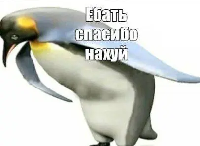 1763636536932.webp