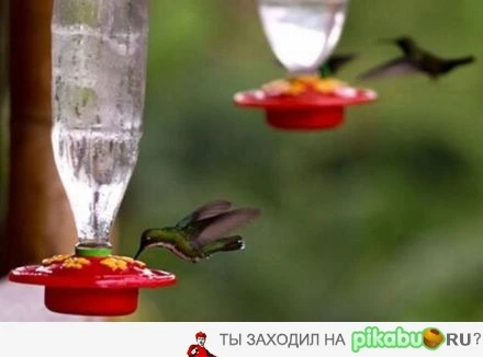 1764154827914.webp