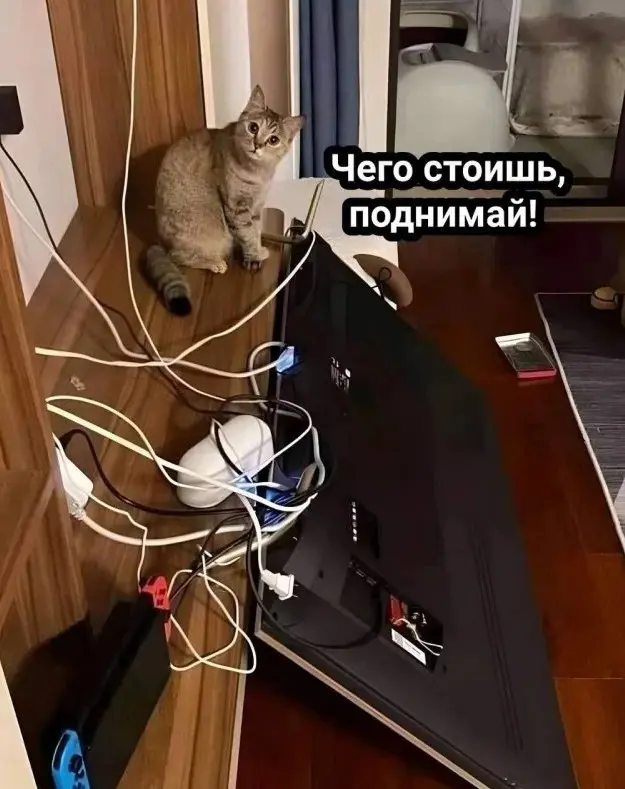1764338170850.webp