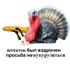 1764793171979.webp