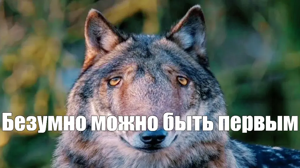 1764833479353.webp
