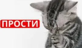 1765093952494.webp