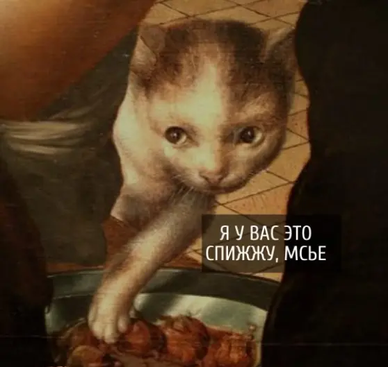 1765111704862.webp