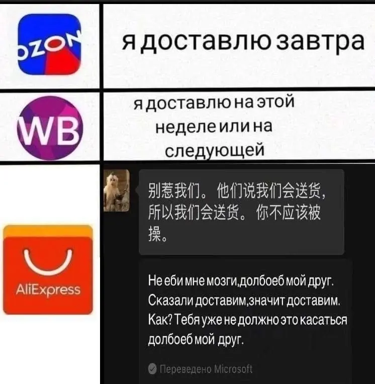 1765193802646.webp