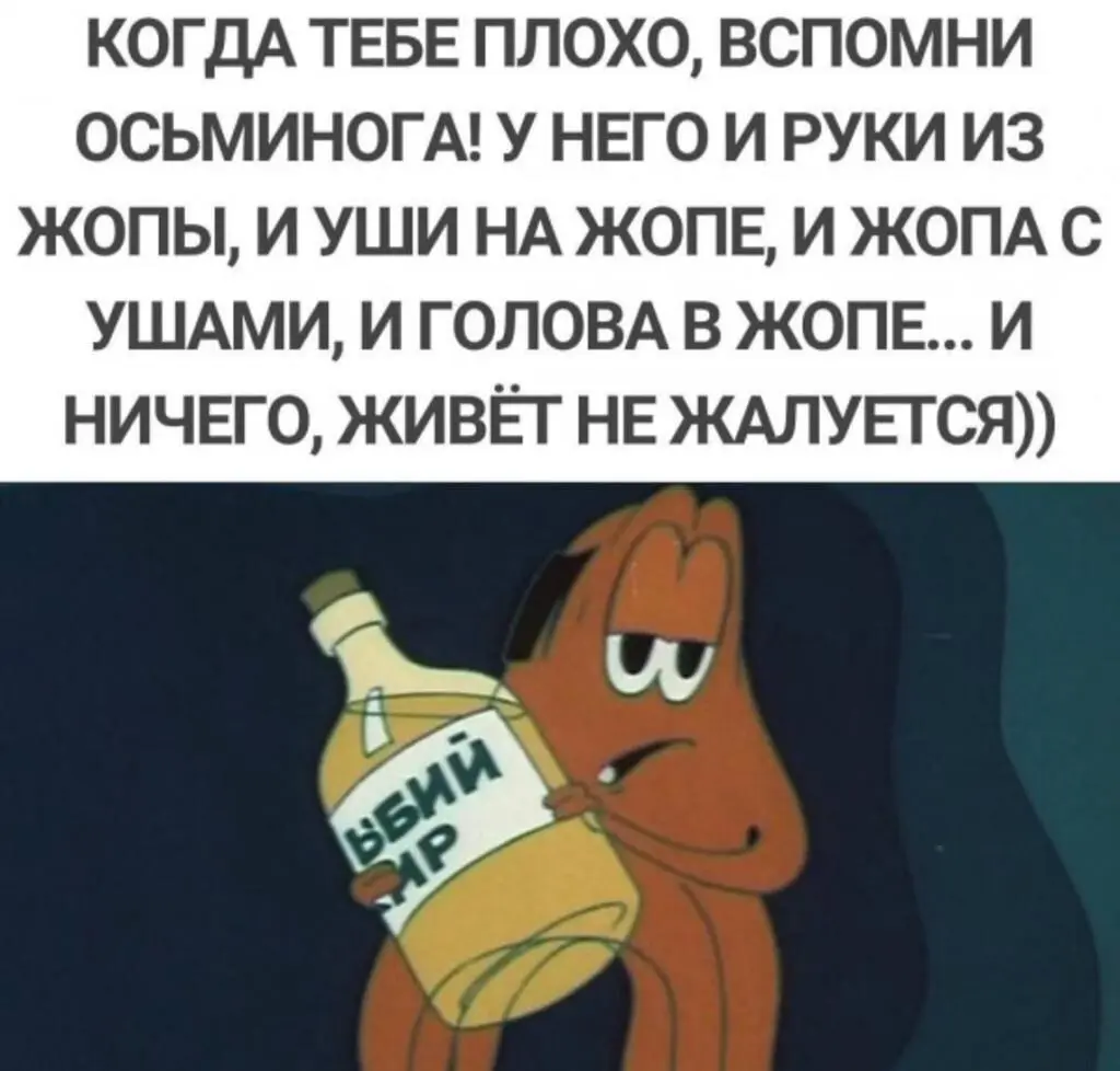 1765391756607.webp