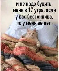 1765537707114.webp