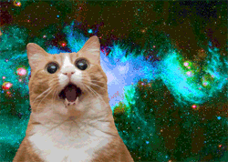 1765568361881.gif