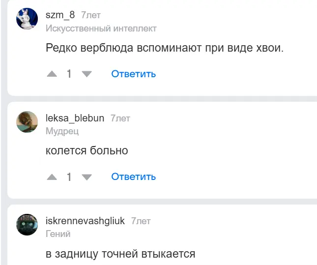 1765652857836.webp
