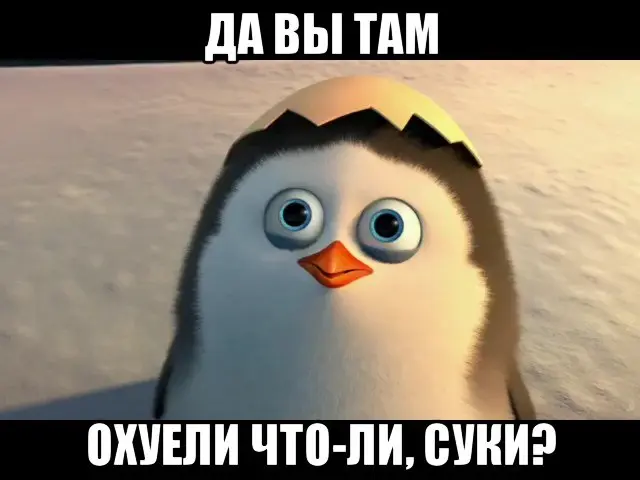 1765742454415.webp