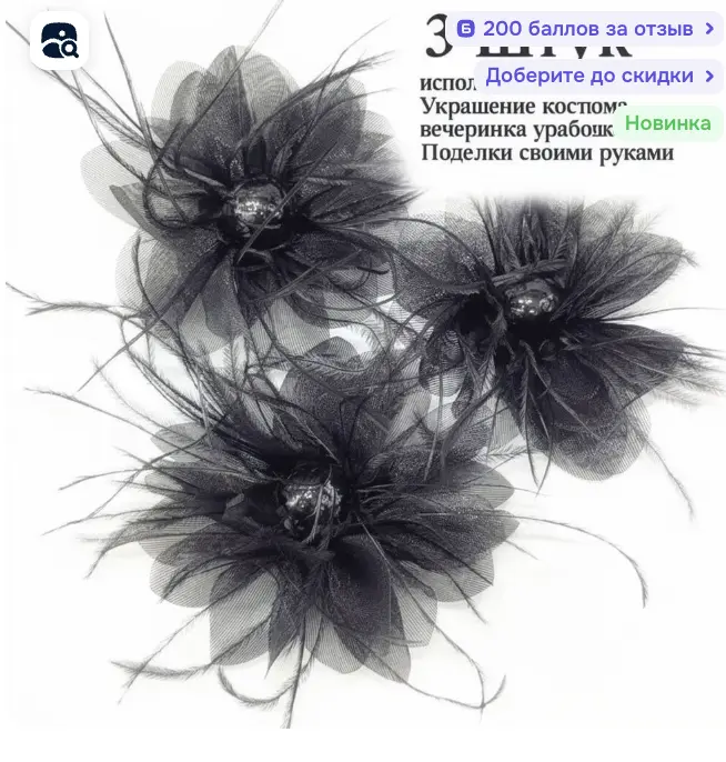 1765816250013.webp
