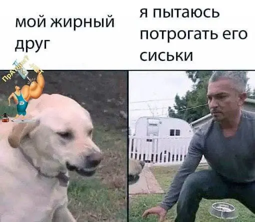 1765907972991.webp