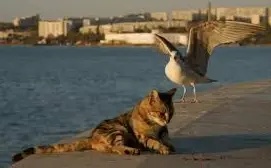 1766076237182.webp