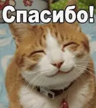 1766314364186.webp