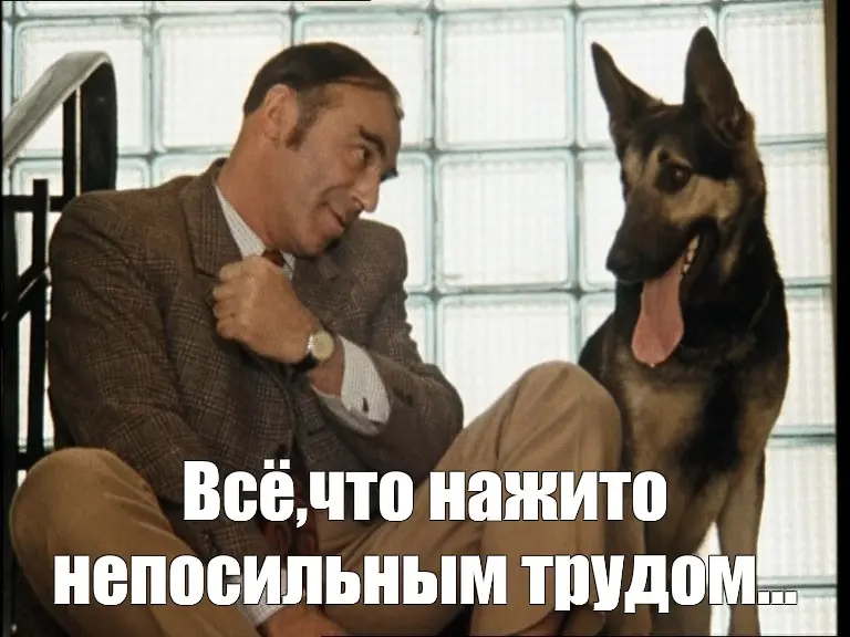 1766415602329.webp