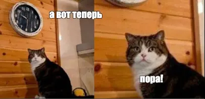 1766505580629.webp