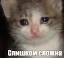 1766513439258.webp