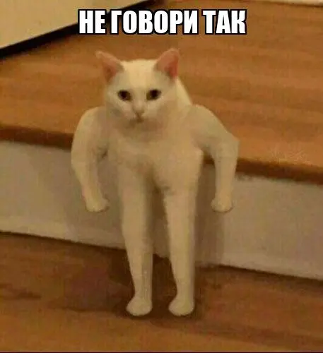 1766995438563.webp