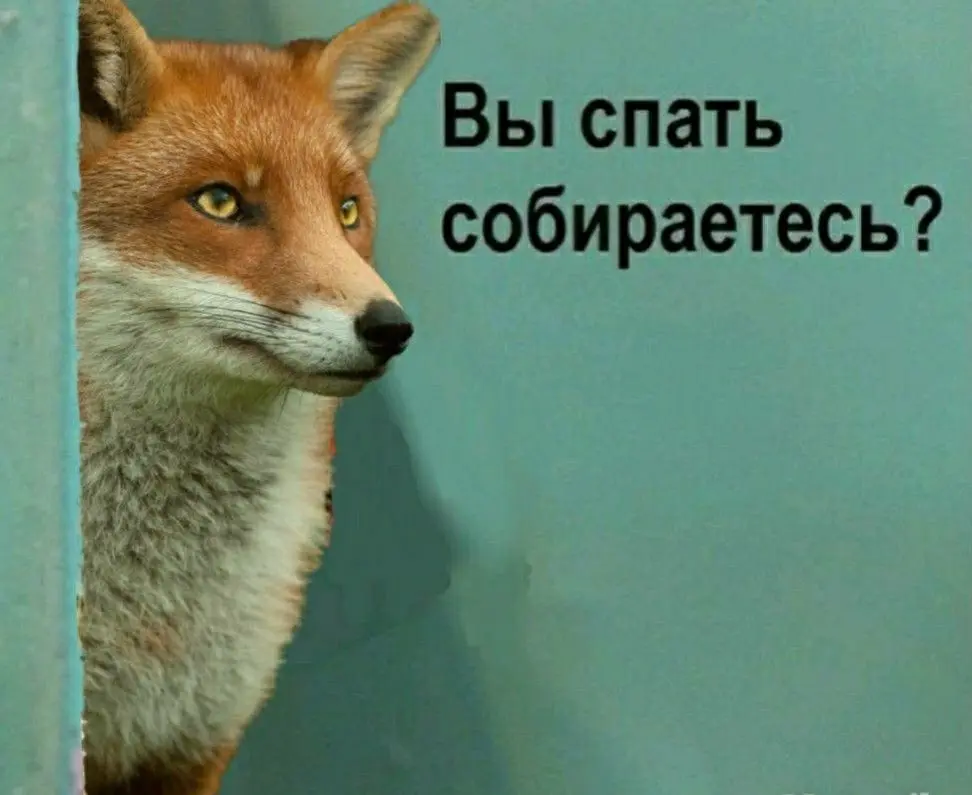 1767031643839.webp