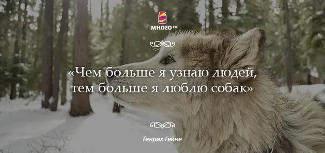1767100231107.webp