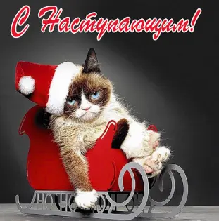 1767156062135.webp