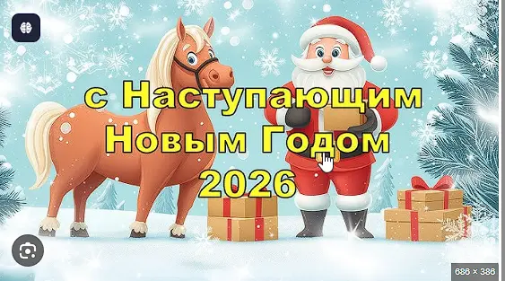 1767163170461.webp