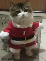 1767206321855.webp